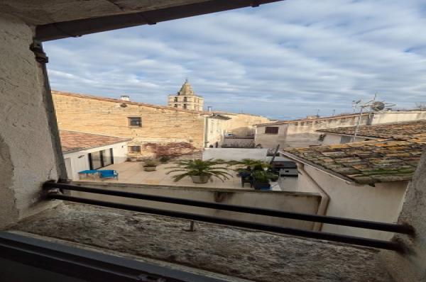 PXL_20250210_150019249.MP