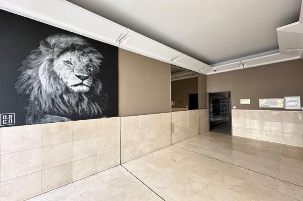 ARTS_ANTIGONE_MONTPELLIER_IGS_IMME