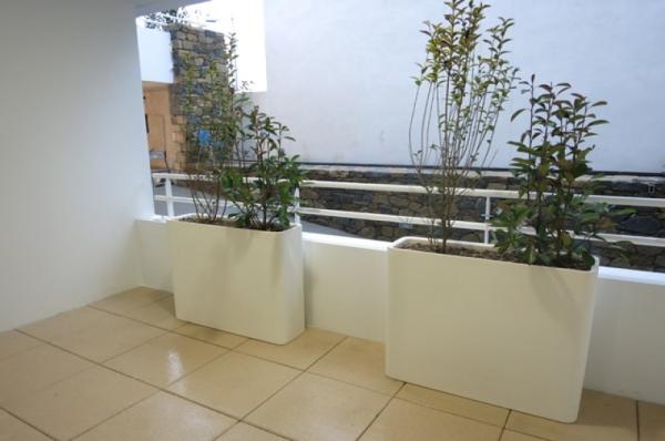 AMAYA_A002_TERRASSE_IGS_CAPRIM_MONTPELLIER_NOUVELLE_MAIRIE