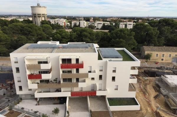 INVICTUS_IMME_CUISINE_MONTPELLIER_OVALIE_IGS_CAPRIM