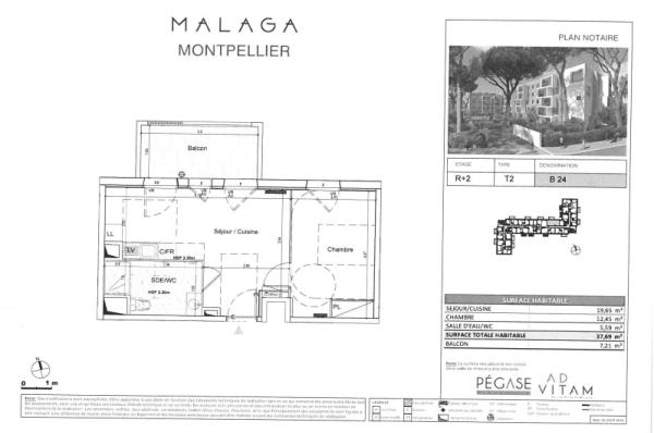MALAGA_PLAN_B24_IGS_CAPRIM_MONTPELLIER_PROCHE_OVALIE