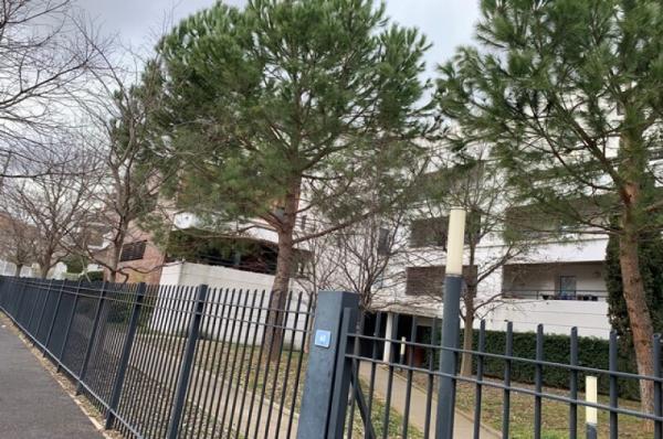 SOLEIL_D'AIGUELONGUE_8_IGS_CAPRIM_MONTPELLIER