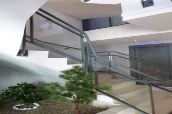 MISTRAL_GAGNANT_C15_HALL_MONTPELLIER_IGS_CAPRIM