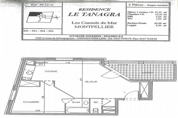 MONTPELLIER_RIVES_DU_LEZ_TANAGRA_T2_201