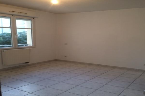 PIERRE_DE_MASSANNE_A125_CHAMBRE_MONTPELLIER_MOULARES_IGS_CAPRIM